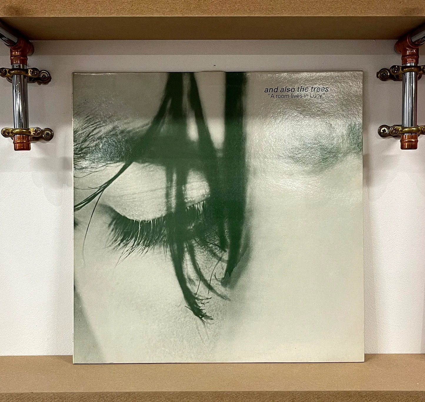 And Also The Trees – A Room Lives In Lucy