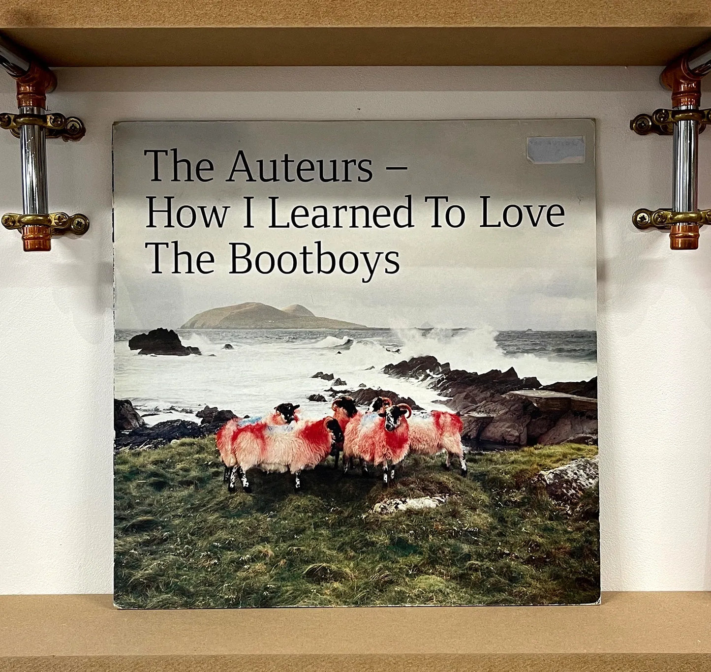 The Auteurs – How I Learned To Love The Bootboys