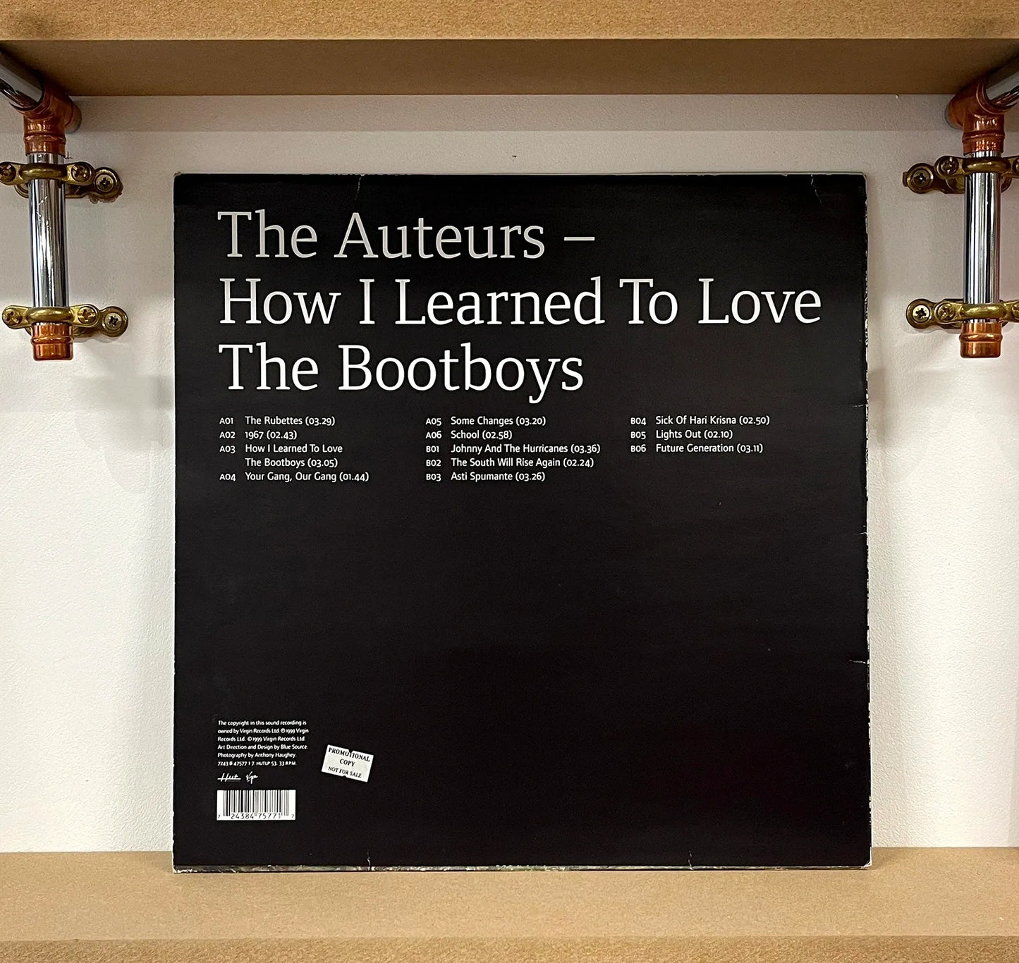 The Auteurs – How I Learned To Love The Bootboys
