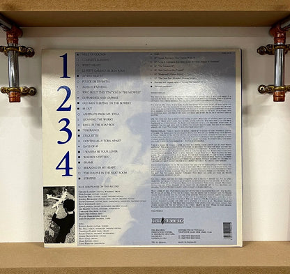 The Blue Aeroplanes – Friendloverplane
