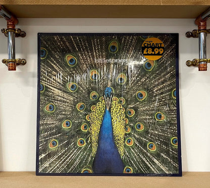 The Bluetones – Expecting To Fly