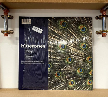 The Bluetones – Expecting To Fly