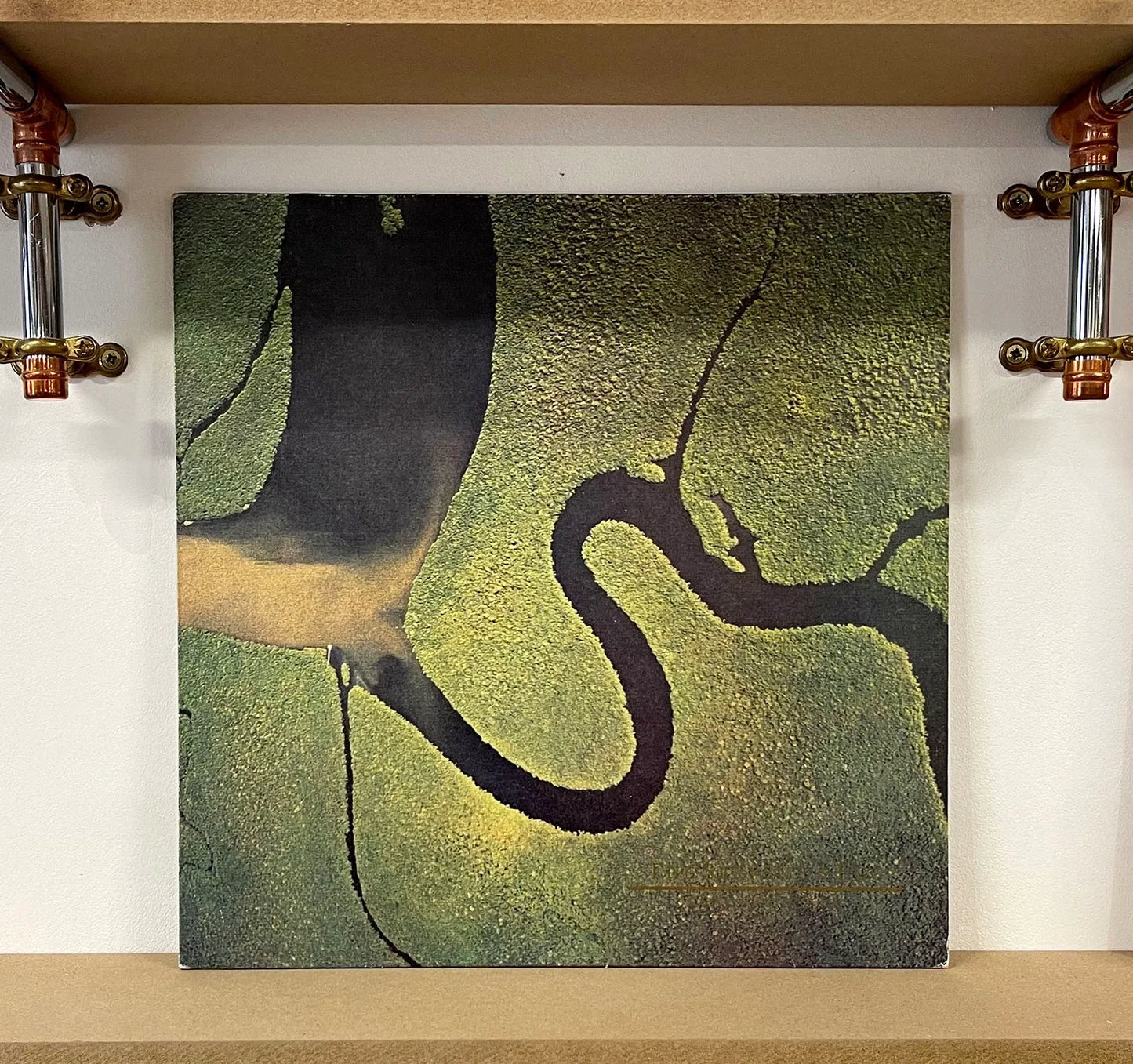 Dead Can Dance – The Serpent's Egg