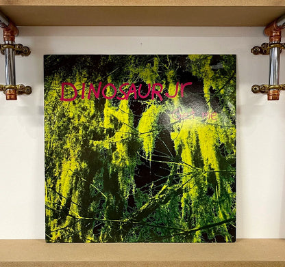 Dinosaur Jr – Get Me