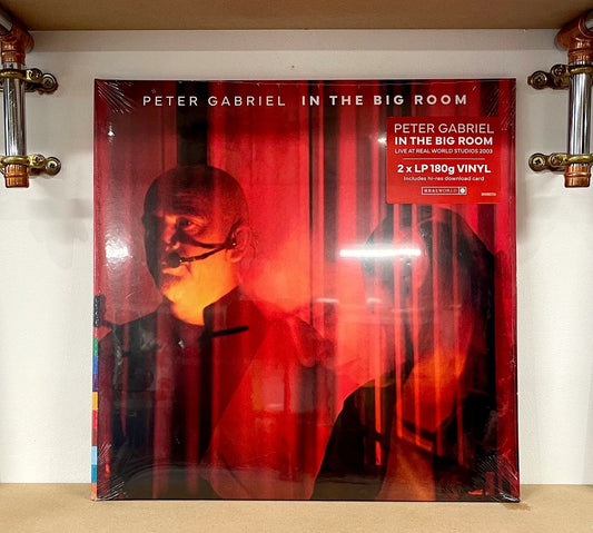 Peter Gabriel – In The Big Room