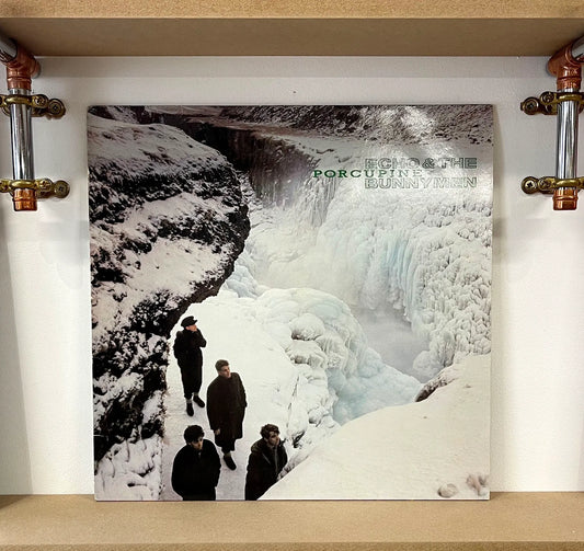 Echo & The Bunnymen – Porcupine