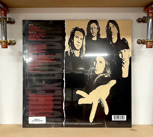 Mother Love Bone – Shine