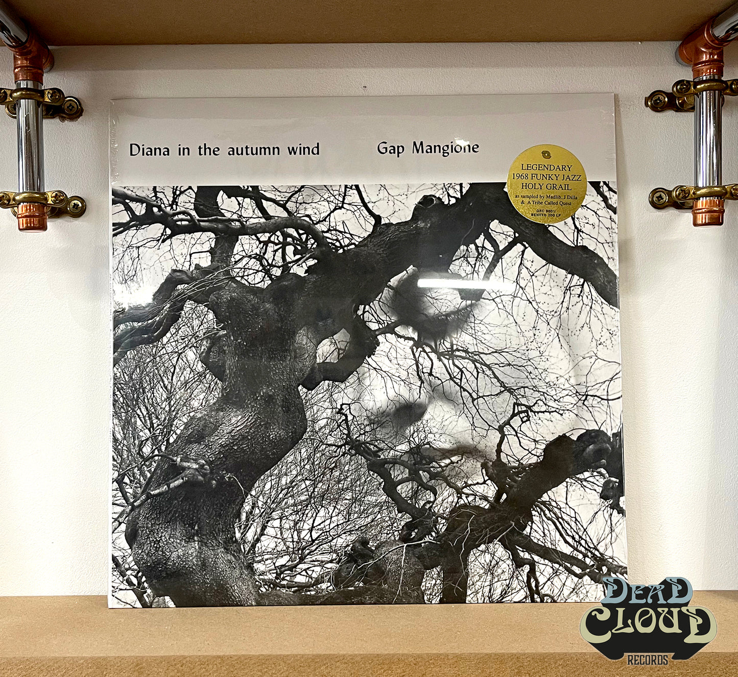 Gap Mangione – Diana In The Autumn Wind