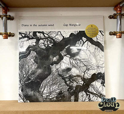 Gap Mangione – Diana In The Autumn Wind