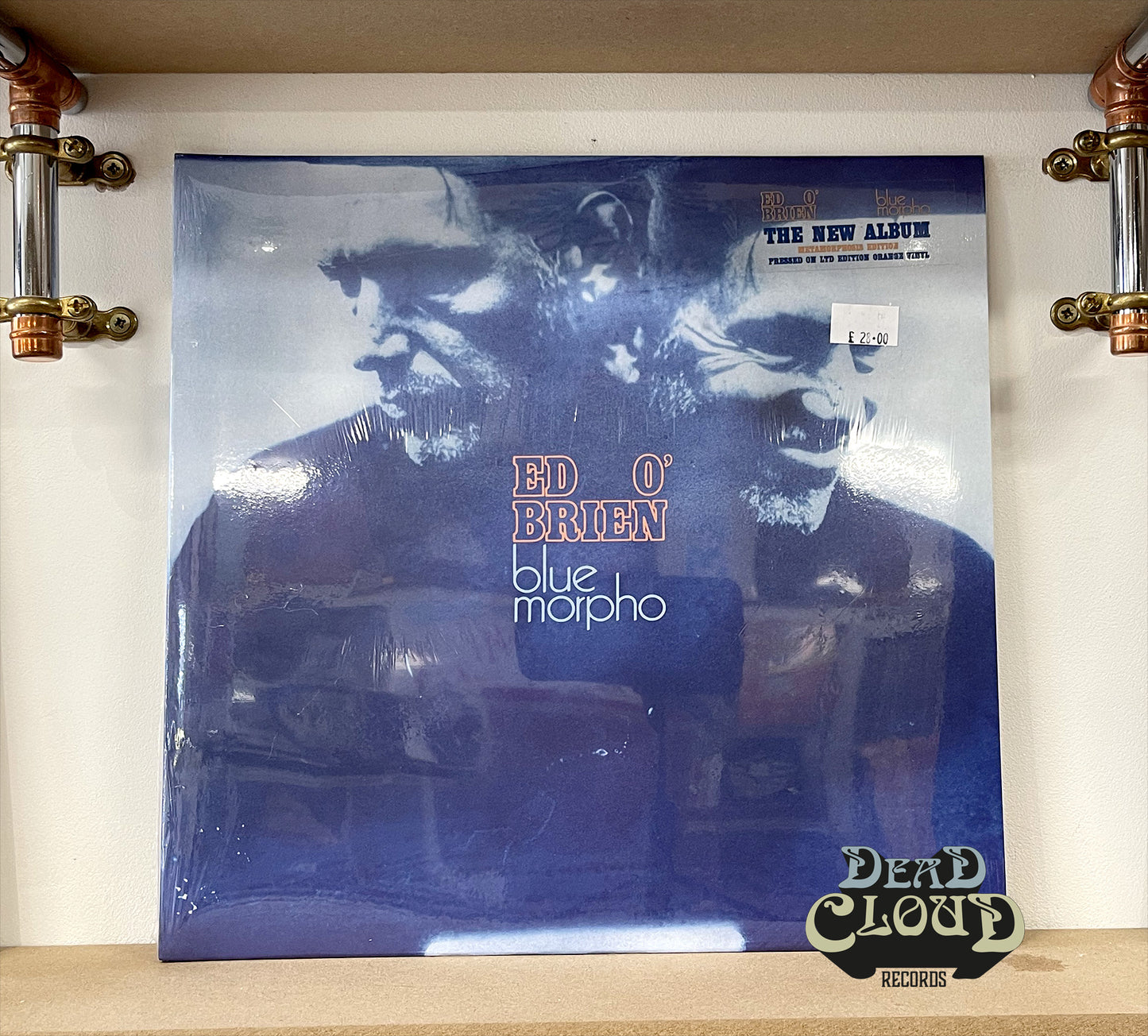 Ed O'Brien – Blue Morpho