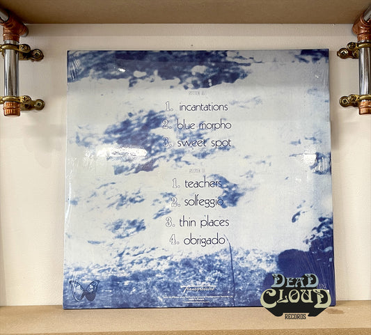 Ed O'Brien – Blue Morpho