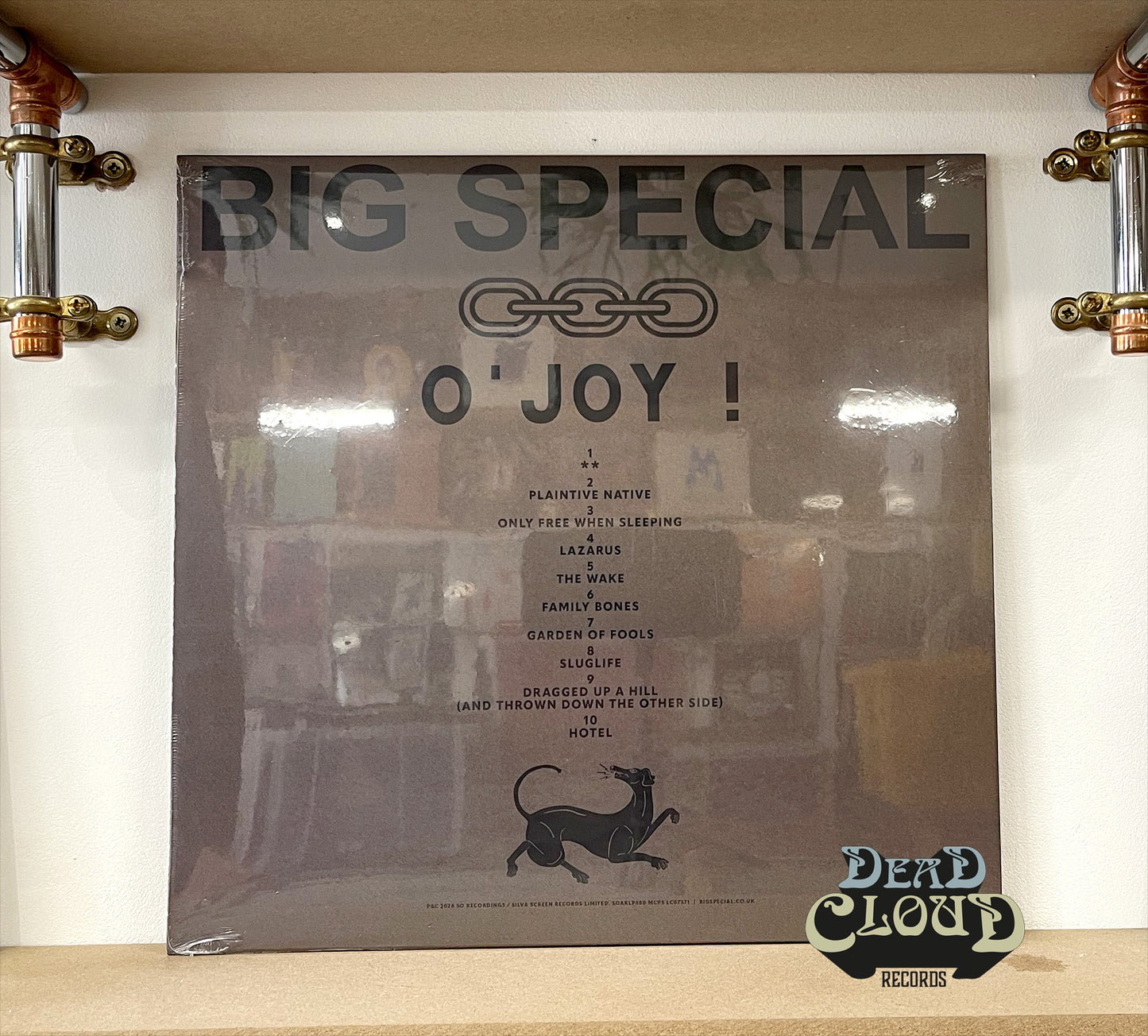 Big Special - O'Joy!