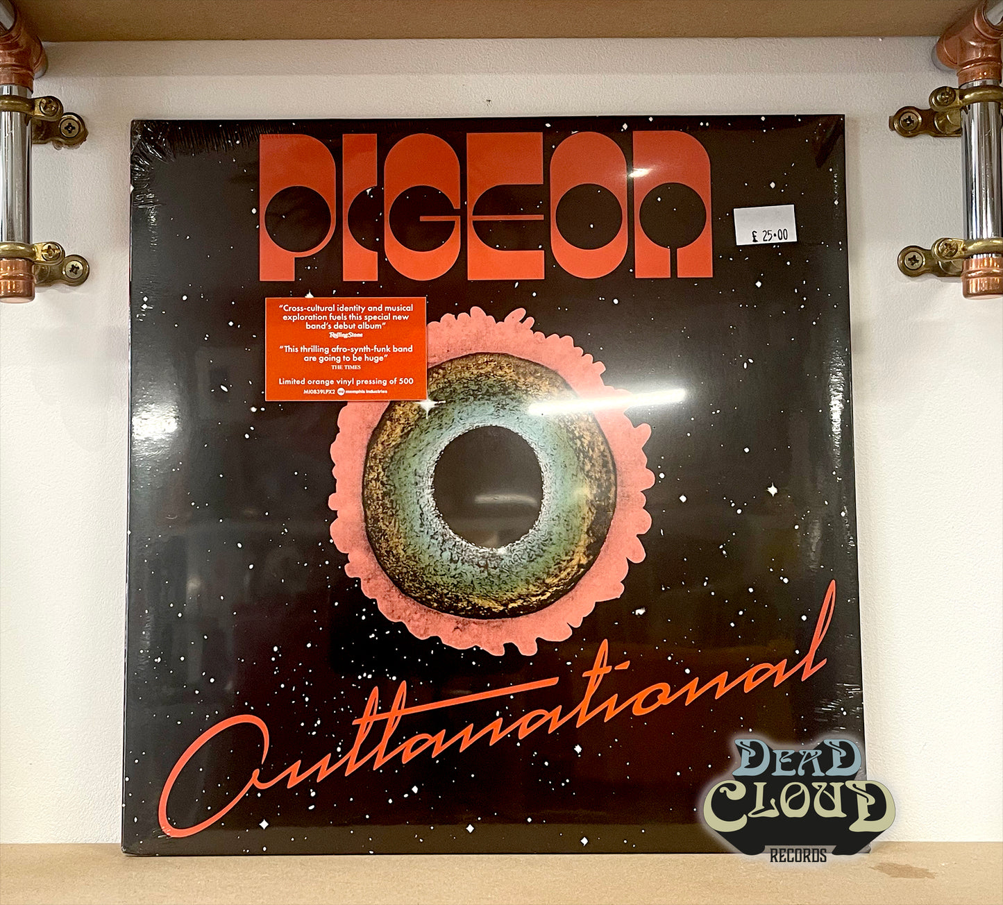 Pigeon – Outtanational