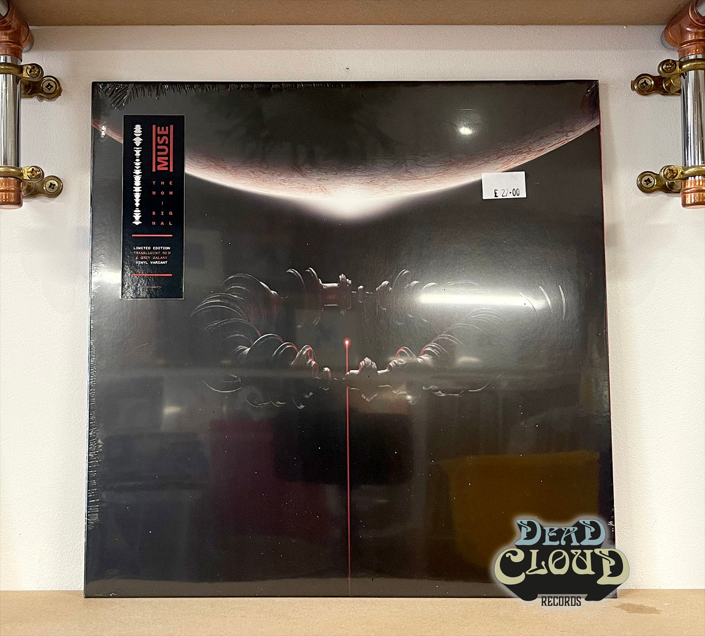 Muse – The Wow! Signal
