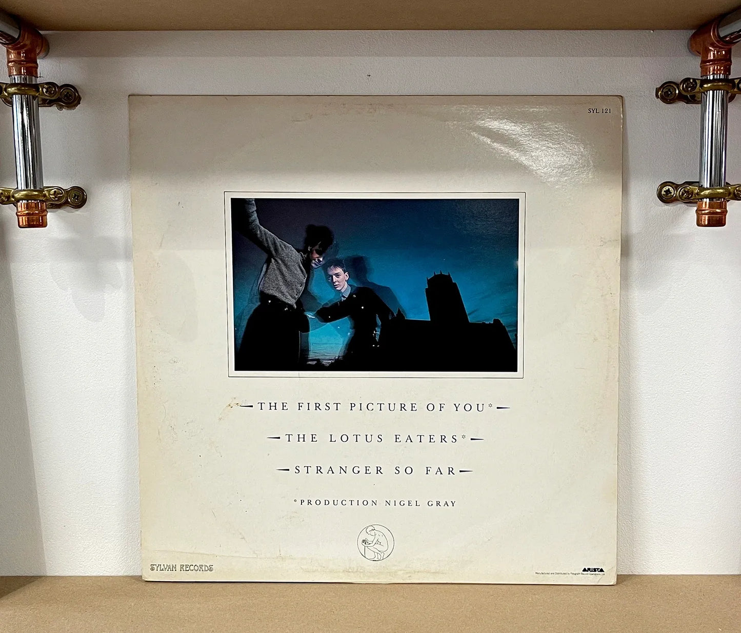 The Lotus Eaters – The First Picture Of You