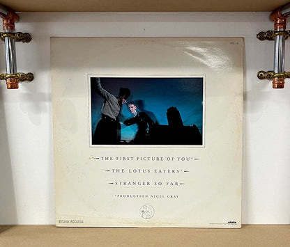 The Lotus Eaters – The First Picture Of You