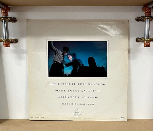 The Lotus Eaters – The First Picture Of You