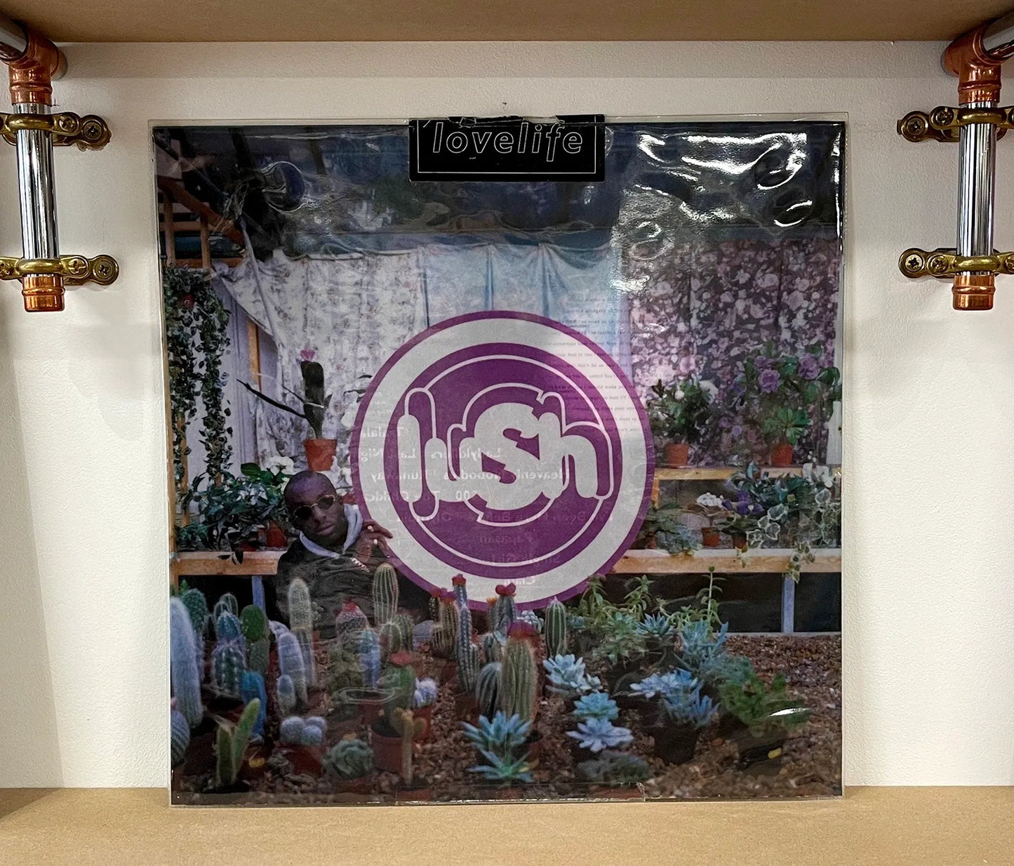 Lush – Lovelife