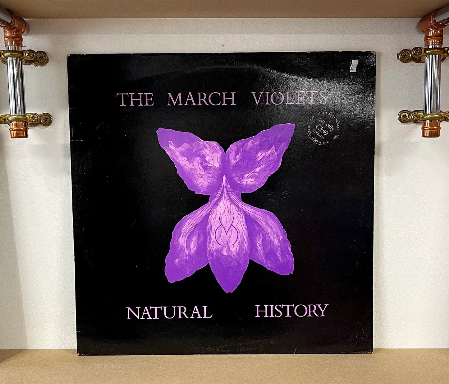 The March Violets – Natural History