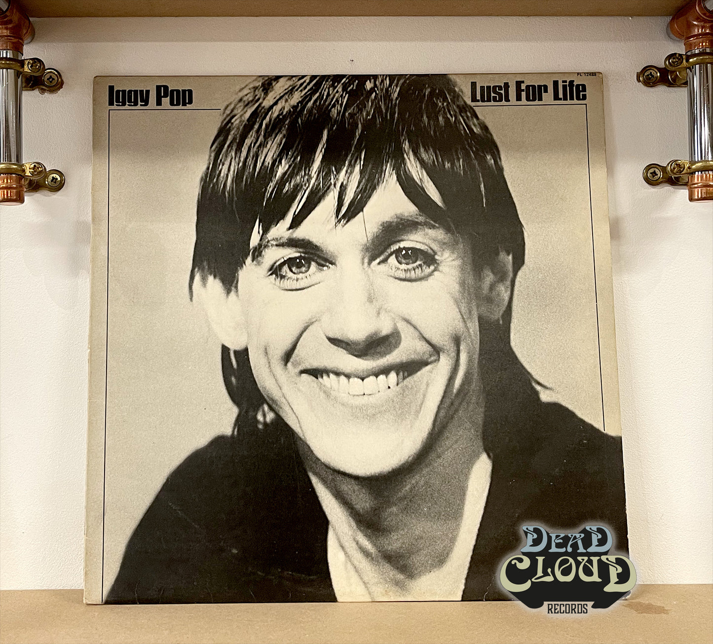 Iggy Pop – Lust For Life