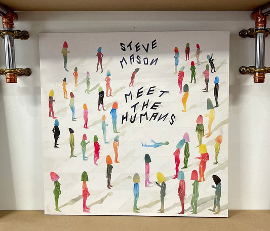 Steve Mason – Meet The Humans