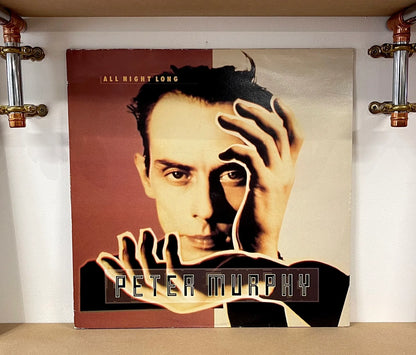 Peter Murphy – All Night Long