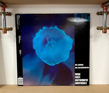 New Fast Automatic Daffodils – Big