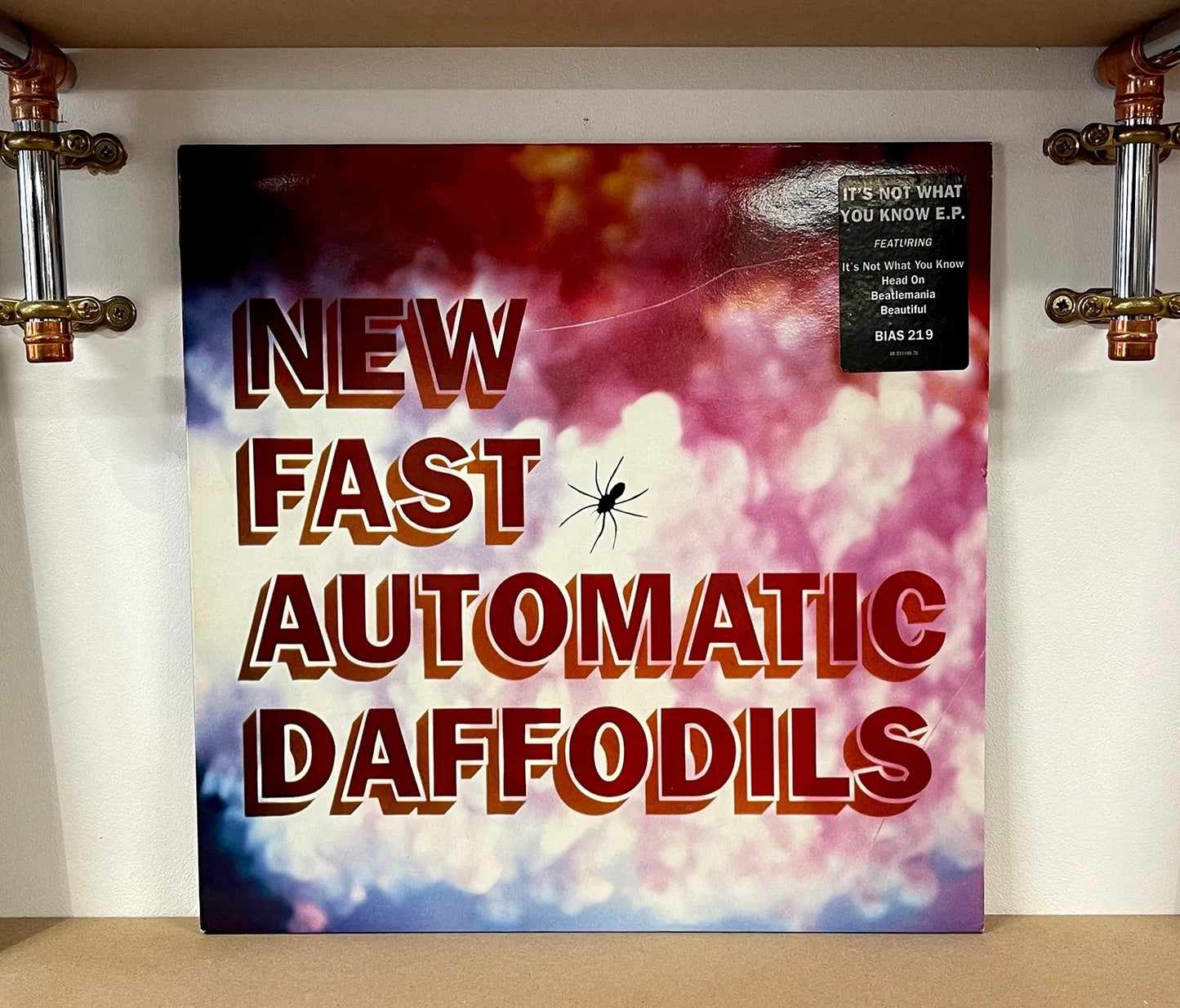 New Fast Automatic Daffodils – It's Not What You Know