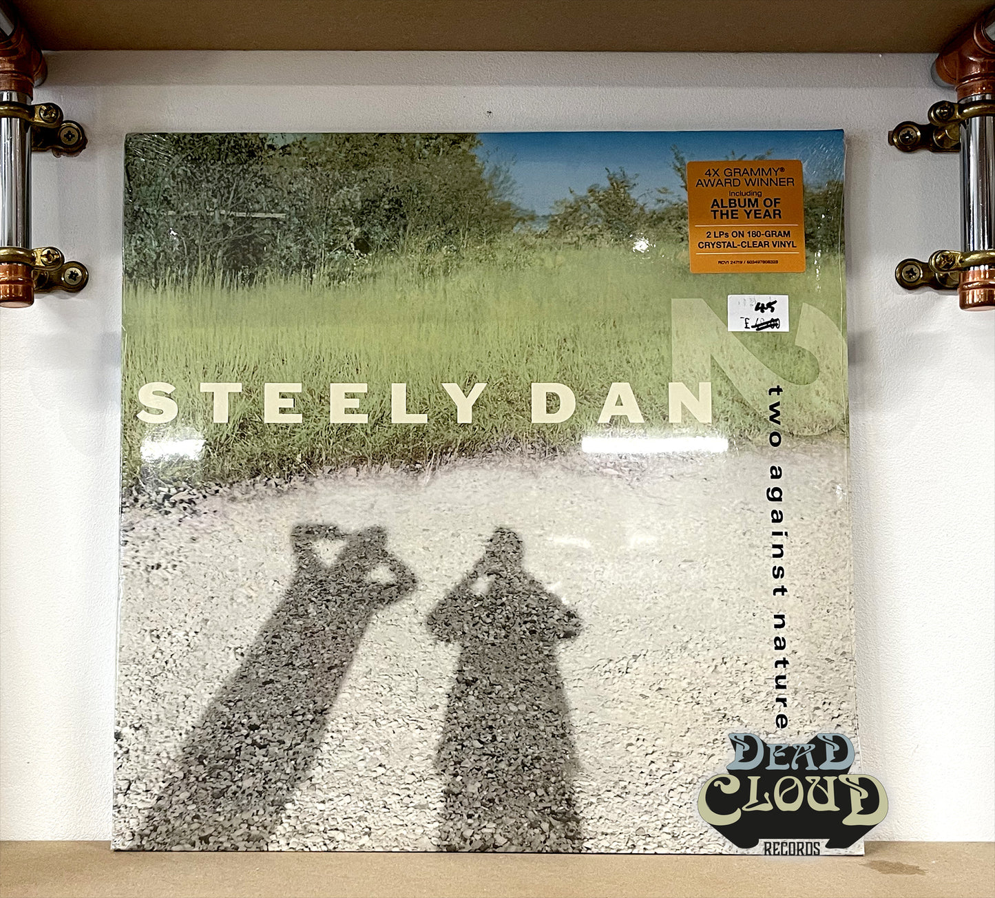Steely Dan – Two Against Nature