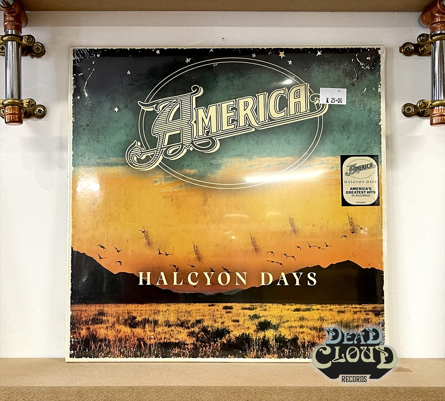 America - Halcyon Days
