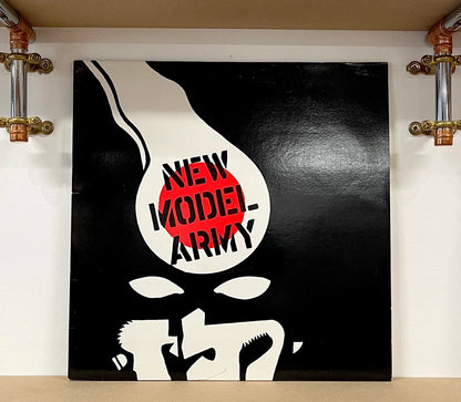 New Model Army – Great Expectations