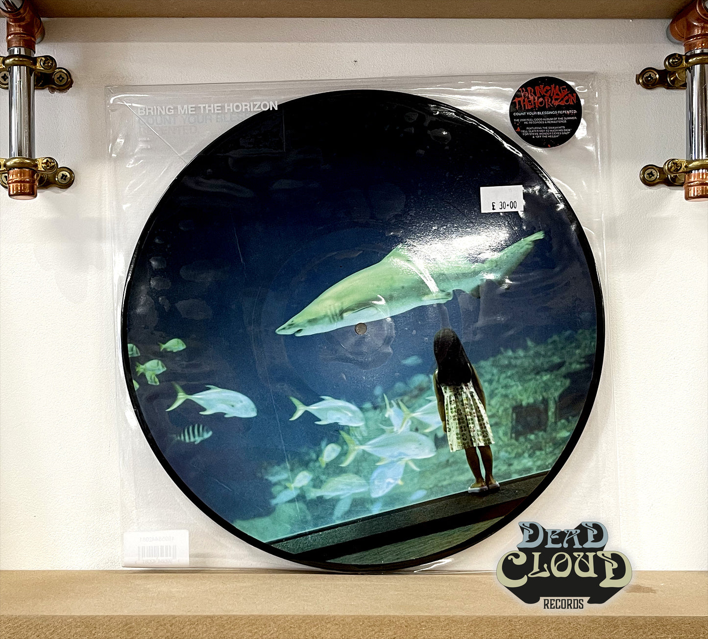 Bring Me the Horizon - Count Your Blessings Repented (Picture Disc)