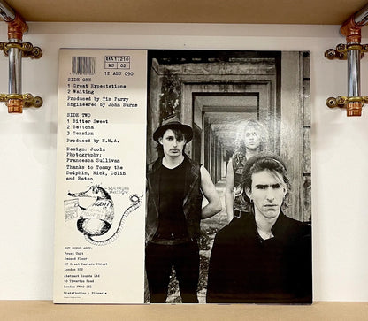 New Model Army – Great Expectations