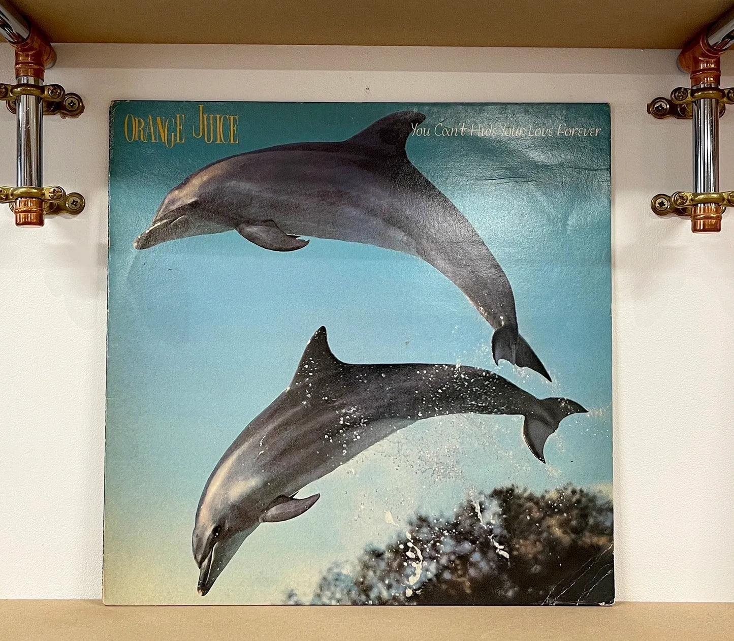 Orange Juice – You Can't Hide Your Love Forever