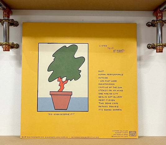 Parquet Courts – Human Performance
