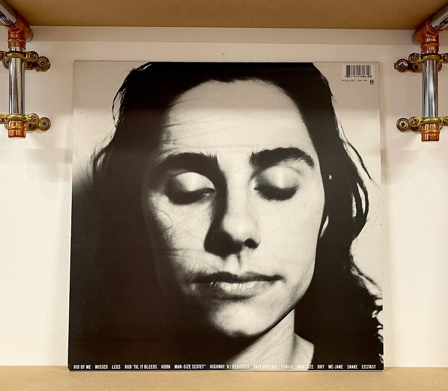 P J Harvey – Rid Of Me