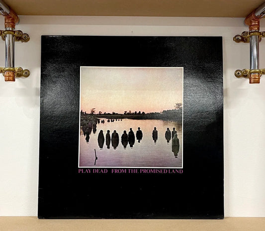Play Dead – From The Promised Land