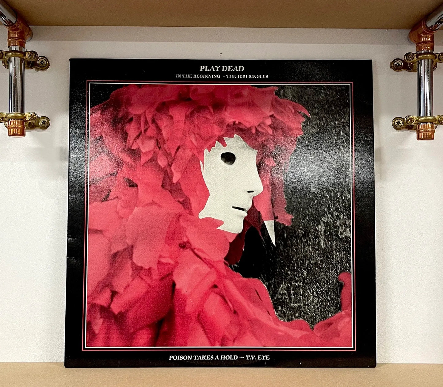 Play Dead – In The Beginning - The 1981 Singles