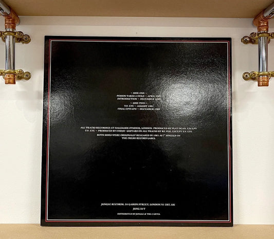 Play Dead – In The Beginning - The 1981 Singles