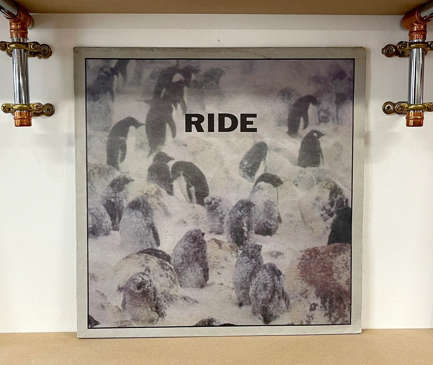 Ride – Fall