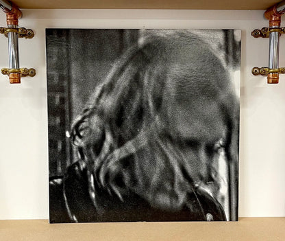 Ty Segall – Ty Segall