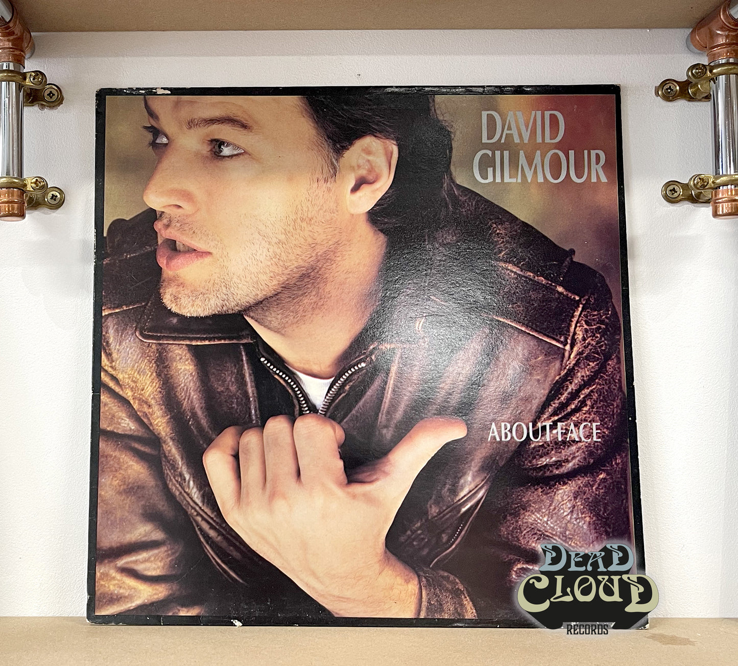 David Gilmour – About Face