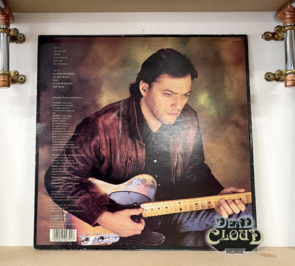 David Gilmour – About Face