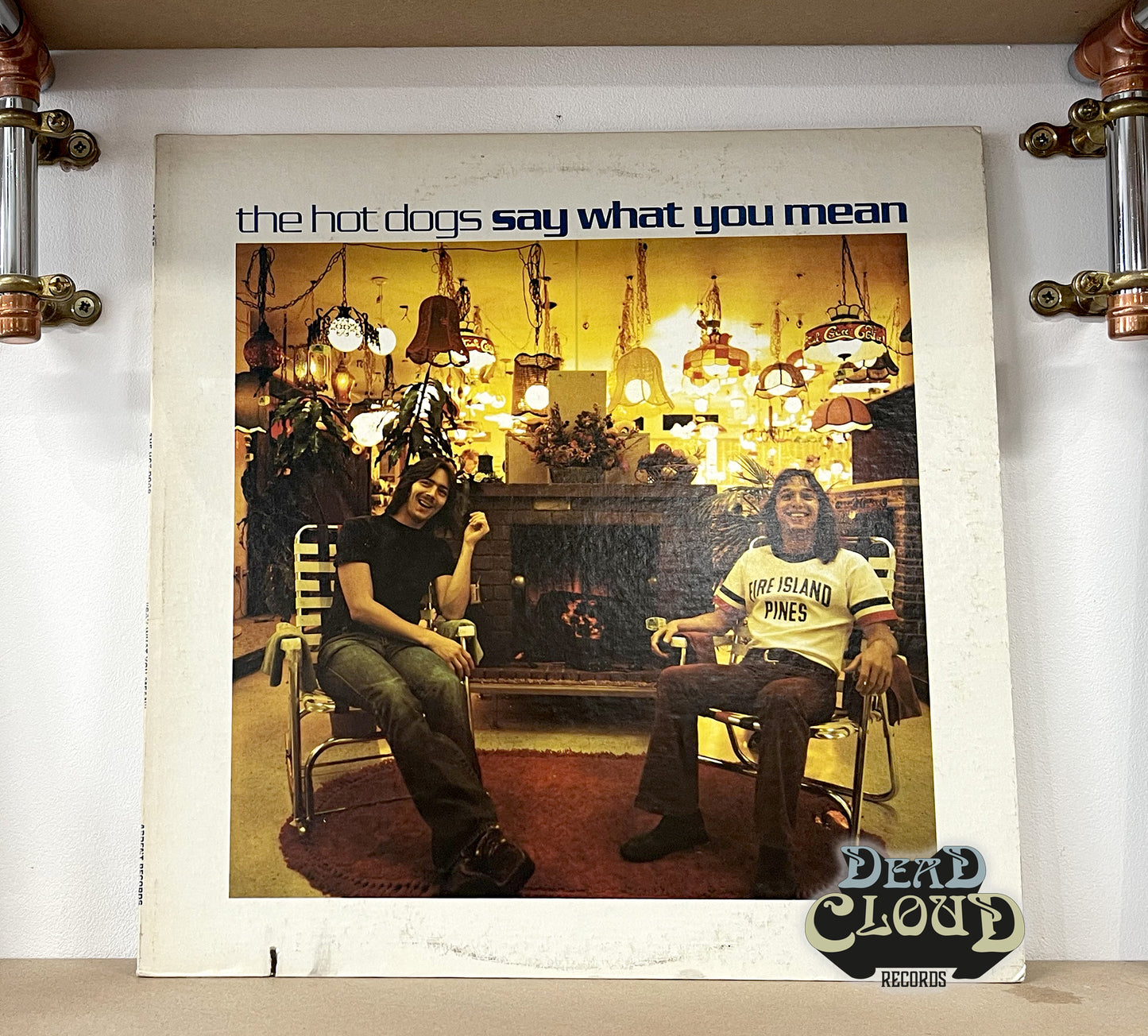 The Hot Dogs – Say What You Mean