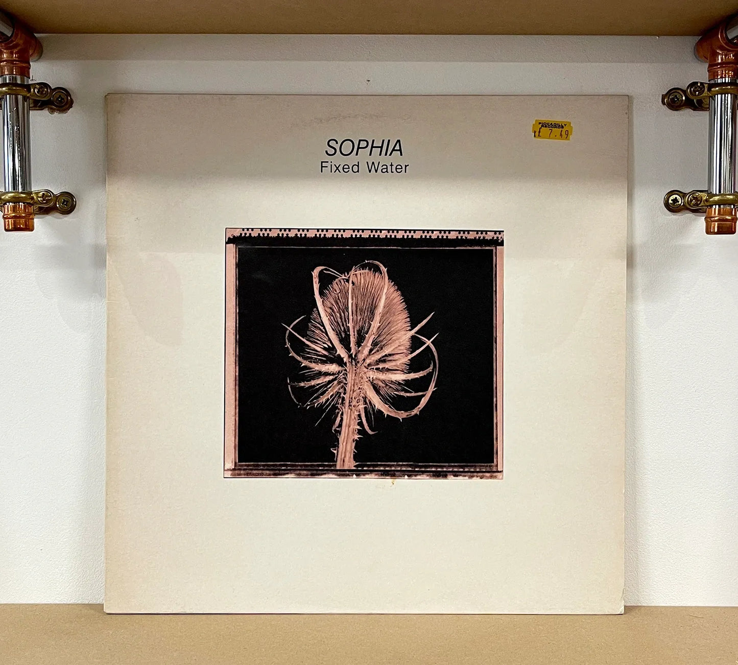 Sophia – Fixed Water
