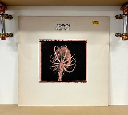 Sophia – Fixed Water