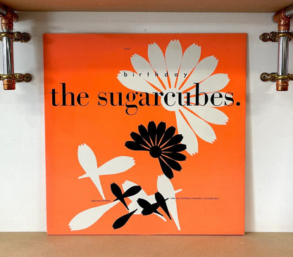 The Sugarcubes – Birthday