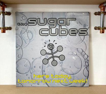 The Sugarcubes – Here Today, Tomorrow Next Week!