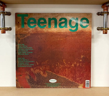 Teenage Fanclub – A Catholic Education