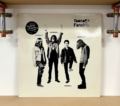 Teenage Fanclub – Norman 3